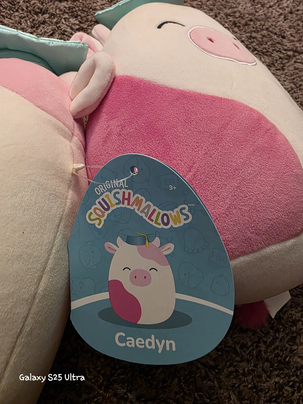 Squishmallows Pink & White Pig Clip-On Plush Pair